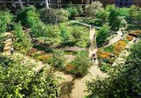 “减排”成绩单亮眼，伦敦老牌房产商蒙特安维珑茵港获权威认可