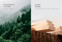 欧派健康木门，为美好家居生活保驾护航！