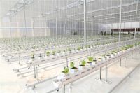 中国联塑多元蓄力赋能农业振兴，夯实“一号文件”落地基础