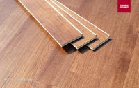 圣象新品来袭——聆听自然之音，把握时尚脉搏