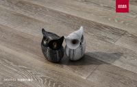 玩美时尚，圣象康逸MG7110布里斯托橡木将出众品味带回家