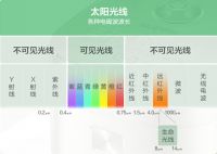 远红外电饭煲煲出流口水的美食