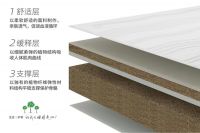 品质3·15丨大自然专注植物床垫31年 只为守护你的生态睡眠 ?