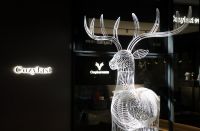 2021年3月到卡姿莱特，赴一场“春天的约定”