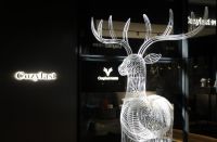 2021年3月到卡姿莱特，赴一场“春天的约定”！