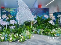 津梁生活女神展空降深圳红山，掀起“天然+美丽”的健康风暴
