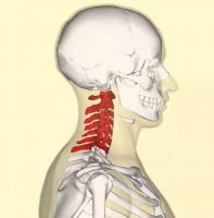 颈椎问题呈年轻化趋势，SKG帮你远离“颈椎衰老”