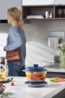 一锅一盅，“食”现幸福时光，摩飞养生锅重磅上线