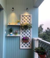 享时光木阳台|用一抹新绿，充“植”美好生活