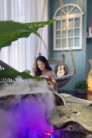 享时光木阳台|用一抹新绿，充“植”美好生活