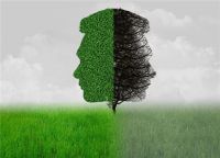 “无醛”概念肆虐市场，自上下游产业中探寻真相