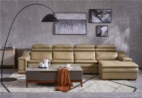 缔乐·缔造属于你的乐享舒适生活