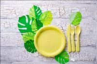 宏庭艺家多奇志，进军生物降解生态家居用品