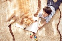 萌宠“拆家”不必崩溃，飞利浦无绳吸拖一体机助你完美还原一室整洁