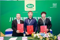 重磅！八益床垫科技革新携领新品震撼来袭