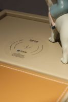 斯可馨携“布”一young新品惊艳亮相东莞展 打造智慧生活新体验