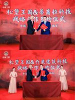 进攻2021！松堡王国战略发布私享会重磅启幕