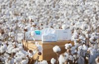 从棉花开始的全棉时代，为何成为“可持续”代名词