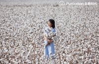 从棉花开始的全棉时代，为何成为“可持续”代名词