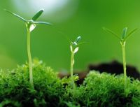 金迪木门：化繁为简，回归自然，打造一方宁静的港湾