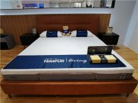 更适合中国人的健康睡眠，泰普尔国产系列新品亮相36届深圳国际家具展