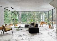 时代追光者 | DPI进口瓷砖张升华：全新升级，打造雅致奢华的生活美学