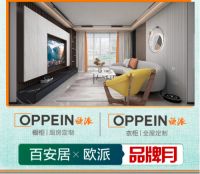百安居全屋定制节 解锁家居生活高格调