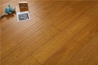 福力得——我想带你看森林