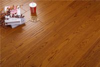 福力得——我想带你看森林