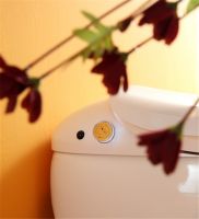 OMG！这是一款会泡泡浴的好马桶！