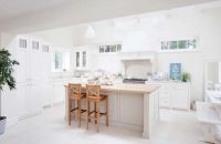 无以伦比的美丽 开放式厨房案例