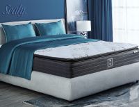 行业佳选：西屋、丝涟、舒达品牌高端床垫重重来袭