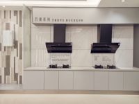 强强联手 李雪琴王耀庆成为万家乐万象系列星推官