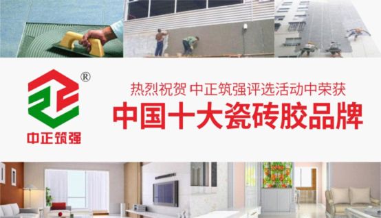 中正筑强建筑用料 荣获“中国十大品牌”称号