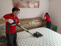 春季“没螨”睡眠，从选择东宝床垫开始