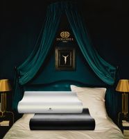 DOLOMIA杜勒枕和化妆品要来中国开店了