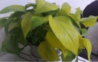 装修后到底多久入住才安全？这三种简易辨别方法，一看就会