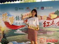农场果，自然熟！“菠萝妹妹”邀您品尝广东徐闻红土金菠
