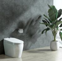 TONA朵纳智能马桶，它还有多少惊喜是你不知道的？