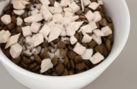 养宠家庭必备肠胃宝 宠物专用益生菌小宠肠胃宝