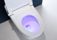 卫生间升级：上厕所不用纸的舒适感！