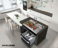 是水槽更是艺术品 佳康丽集成水槽洗碗机重磅上市！