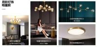 月影家居重磅推出1999元全屋灯饰套餐，树立行业价格标杆！