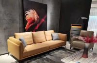 广东迪莎拉蒂，您的居家好伴侣