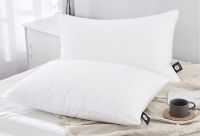 低价解锁精致人生 “真快乐”APP日用百货五折起