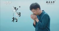 华羽村白茶强势登陆央视媒体