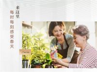 4月17日 | 北二环大明宫花卉市场试营业
