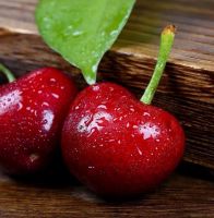 尝鲜模式开启 “真快乐”助你享受美好春天