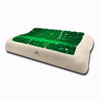 DOLOMIA杜勒米亚法国顶级枕新品发布