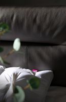 爱依瑞斯皮床，带给你温馨浪漫的梦